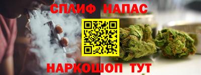 ешки Можга