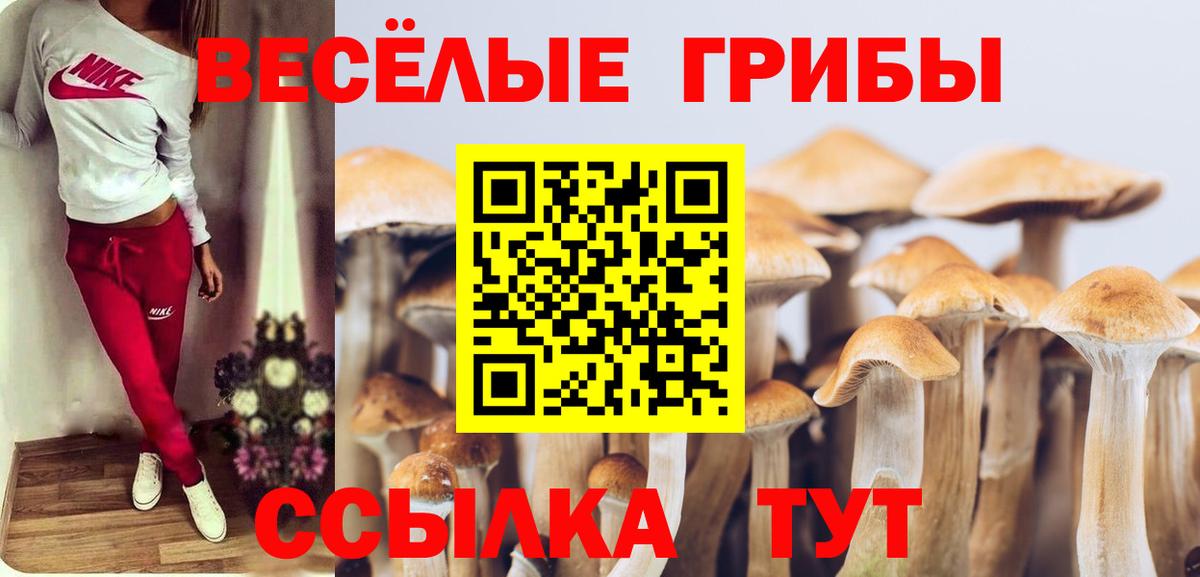 Галлюциногенные грибы Cubensis  наркотики  Псилоцибиновые грибы Psilocybine cubensis  Среднеуральск  Вход с VPN 